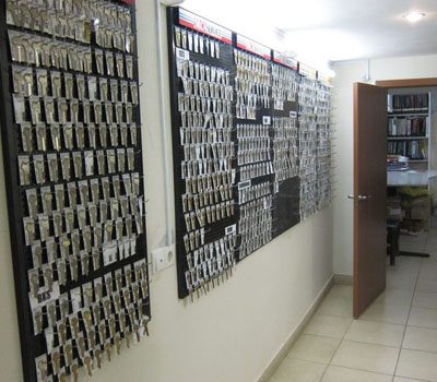 Banner Image 1