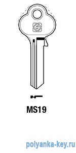 MAS4D_M14_MS19_MST19   Master