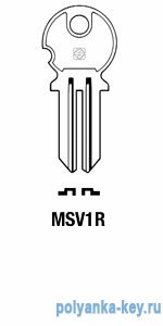 MSV2_MSV1R_MSV1R_MSV10L   MSV