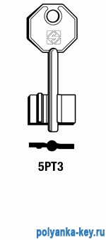 PTN6G_1PN6_5PT3_6PO   Potent