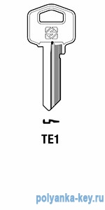TE1I_TS6R_TE1_TSA20   Tesa