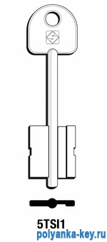 TSI1G_2TS1_5TSI1_x   Tesio