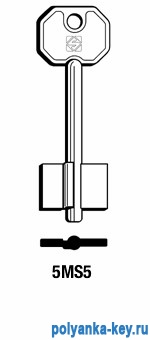 x_1SAF3_5MS5_5SF   Safe