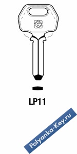 x_LK1_LP11_x   Lips