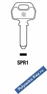 x_SPR1_SPR1_x   Spider